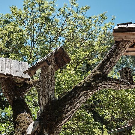 Les Maisons De Chante Oiseau Sigonce Zewnętrze zdjęcie