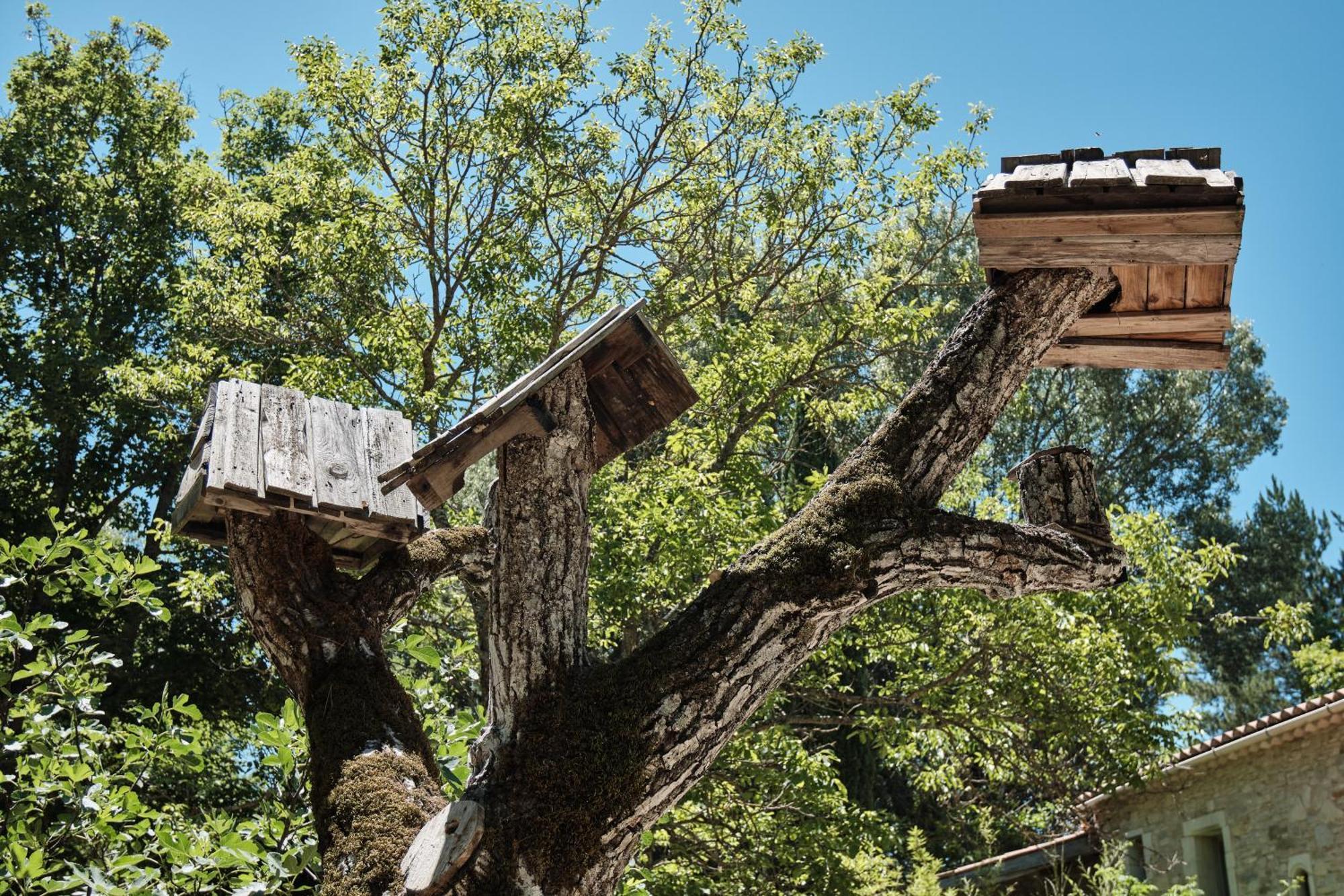 Les Maisons De Chante Oiseau Sigonce Zewnętrze zdjęcie